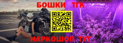 прущие грибы Братск