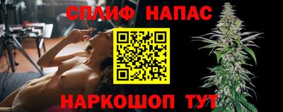 прущие грибы Братск